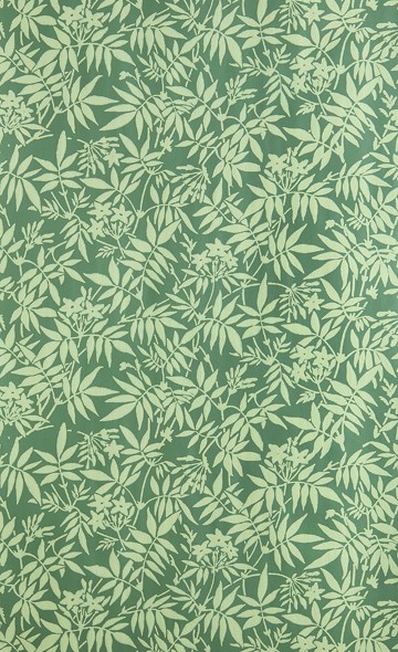 Jasmine BP 3905