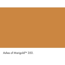 ASHES OF MARIGOLD 350