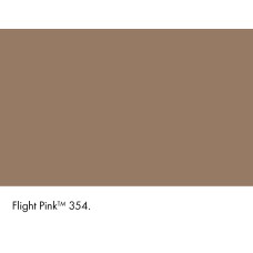 FLIGHT PINK 354