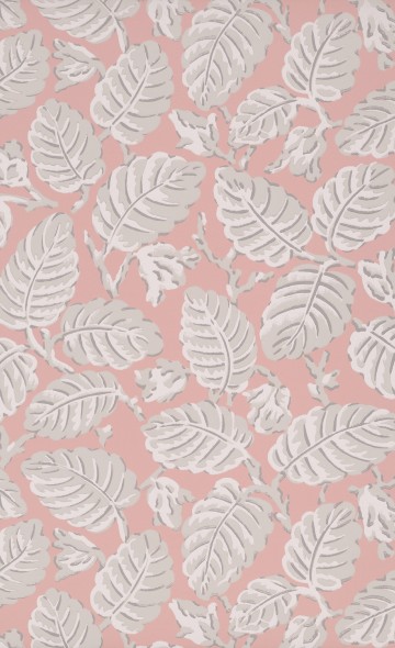 Beech Nut - Delicate