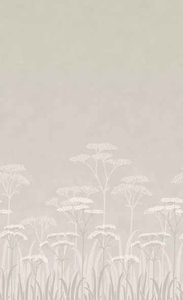 Achillea - Brume 