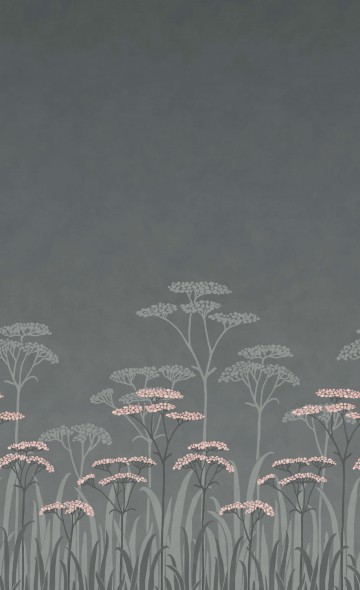 Achillea - Twilight