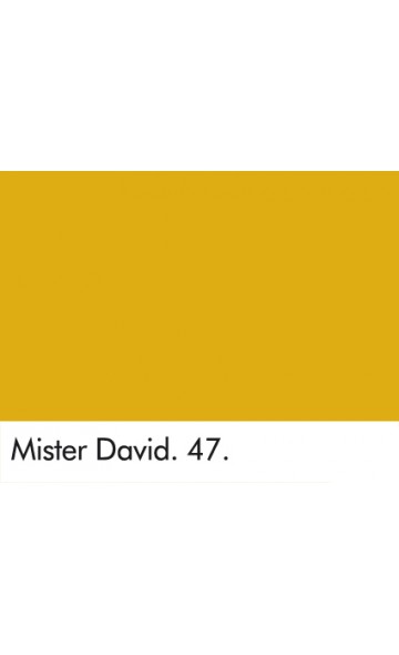 PONAS DEIVIDAS 47 - MISTER DAVID 47
