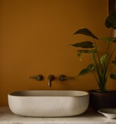 ASHES OF MARIGOLD 350