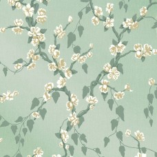 Sakura - Aqua Lustre