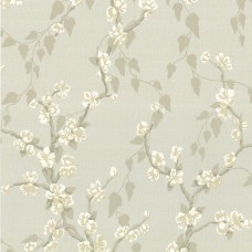 Sakura - Fawn