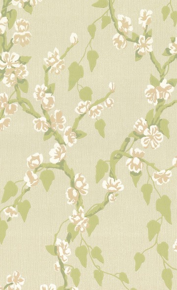Sakura - Pomme