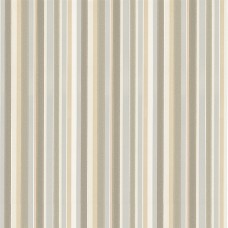 Tailor Stripe - Taupe