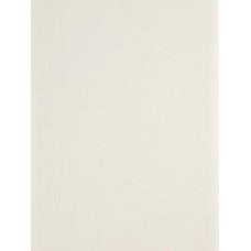 PORCELAIN WHITE - Lime paint