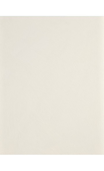 PORCELAIN WHITE - Lime paint