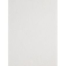 STILL WHITE - Lime paint
