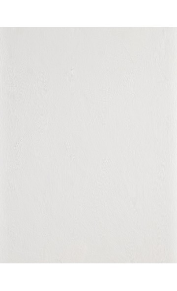 STILL WHITE - Lime paint