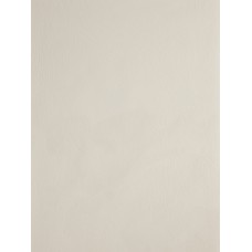 STONE DUST - Lime paint