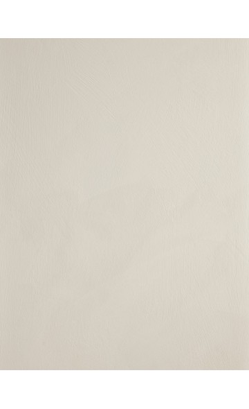 STONE DUST - Lime paint