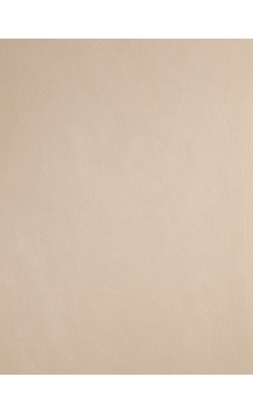 WEATHERED CEDAR - Lime paint