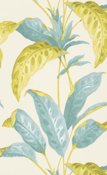TROPICANE - SCALLION