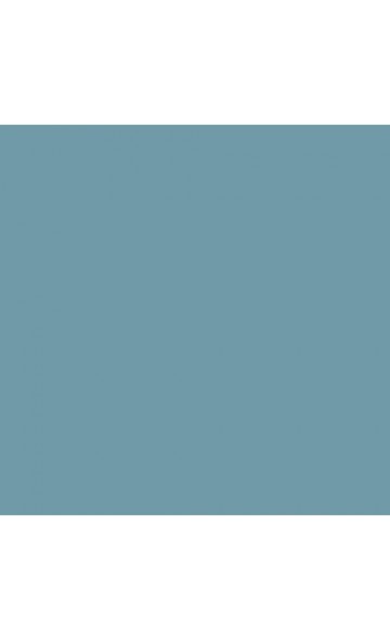 BLUE'S BLUE 639