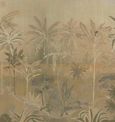 Oasis