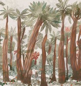 Adansonia