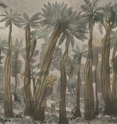 Adansonia