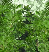 Amazonia