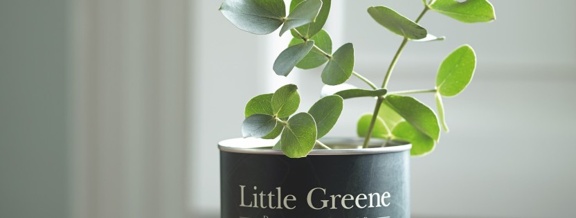 Little Greene dažų  mėginėliai